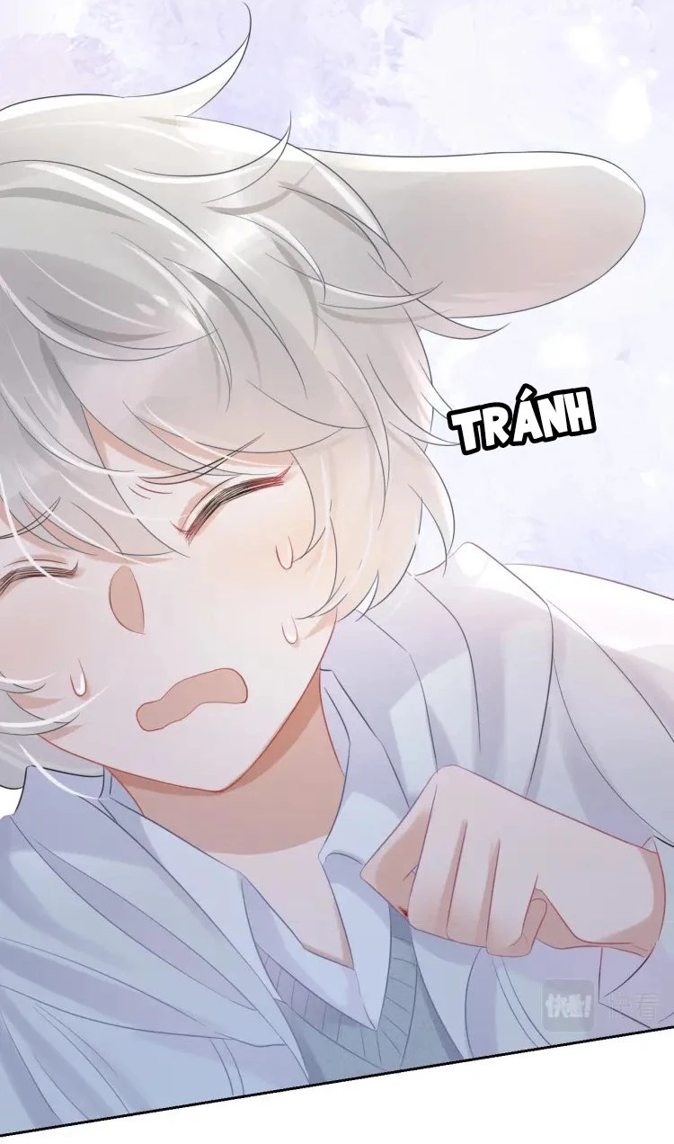 Một Ngụm Nuốt Trọn Thỏ Con Chapter 4 - 37