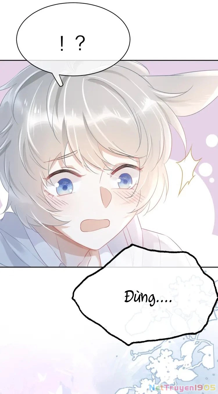 Một Ngụm Nuốt Trọn Thỏ Con Chapter 4 - 42