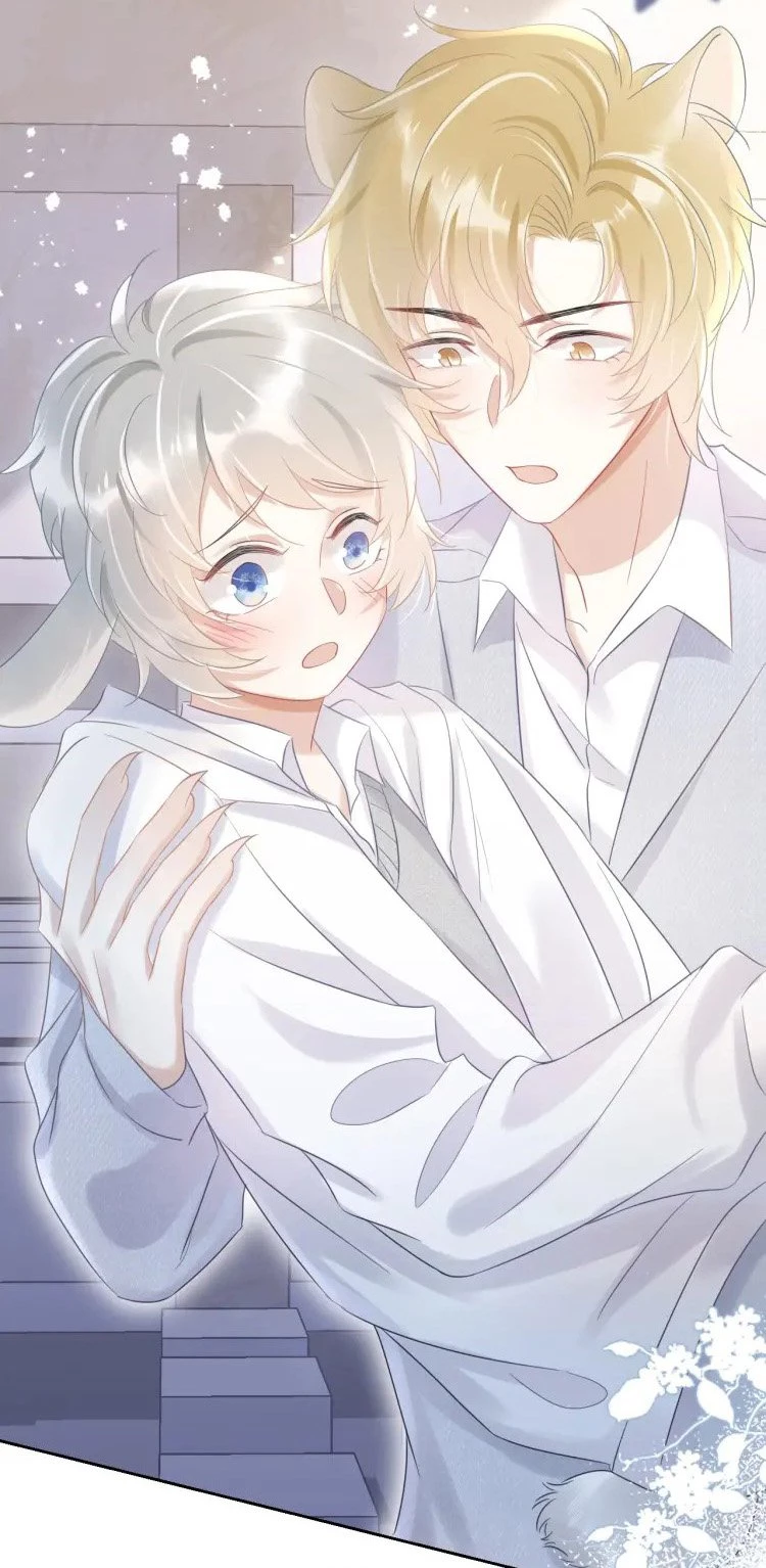 Một Ngụm Nuốt Trọn Thỏ Con Chapter 4 - 48