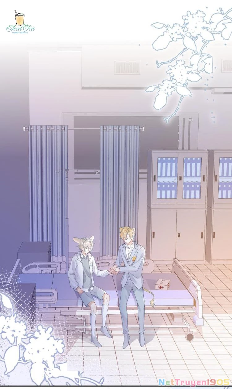 Một Ngụm Nuốt Trọn Thỏ Con Chapter 5 - 2