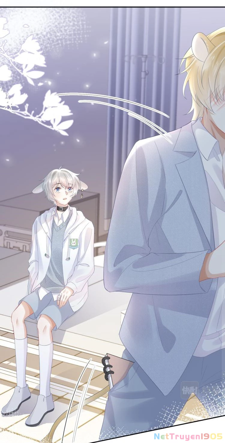 Một Ngụm Nuốt Trọn Thỏ Con Chapter 5 - 13