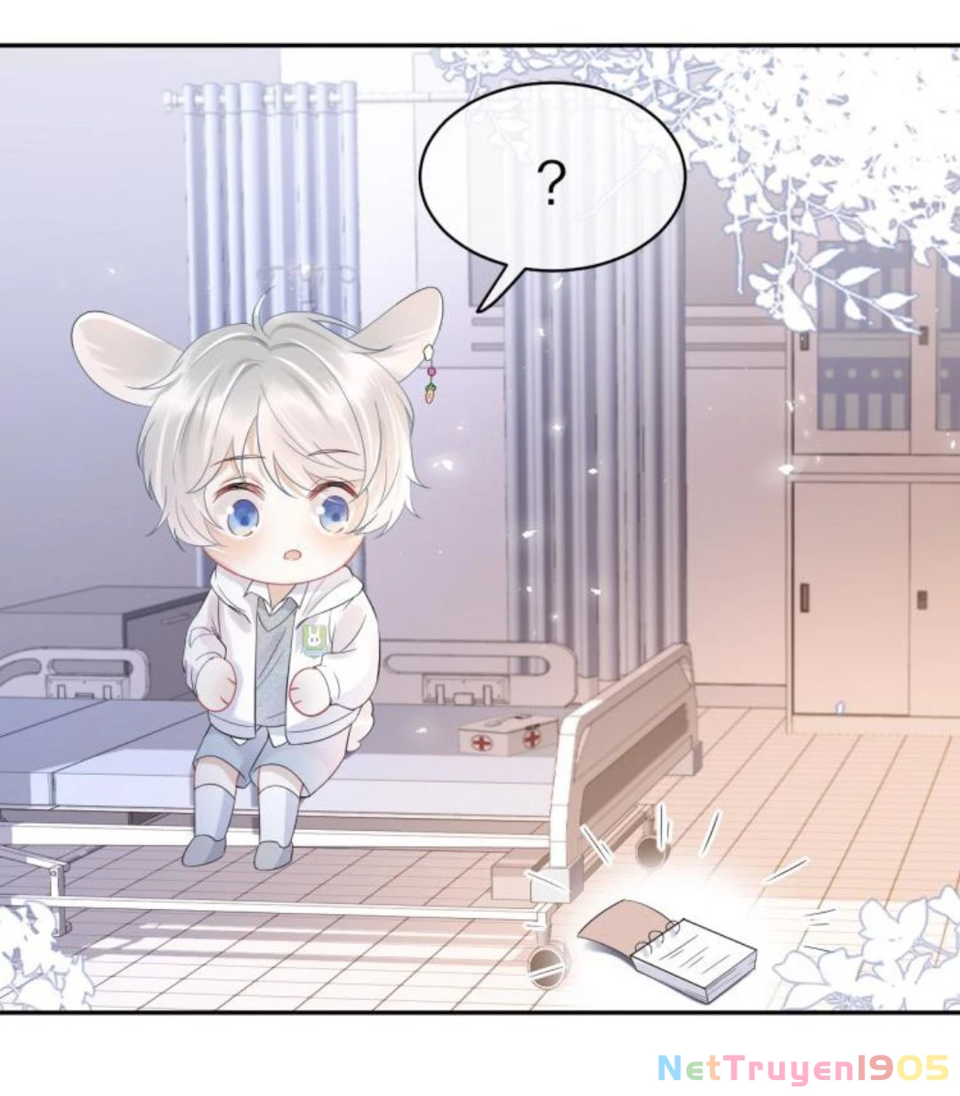 Một Ngụm Nuốt Trọn Thỏ Con Chapter 5 - 16