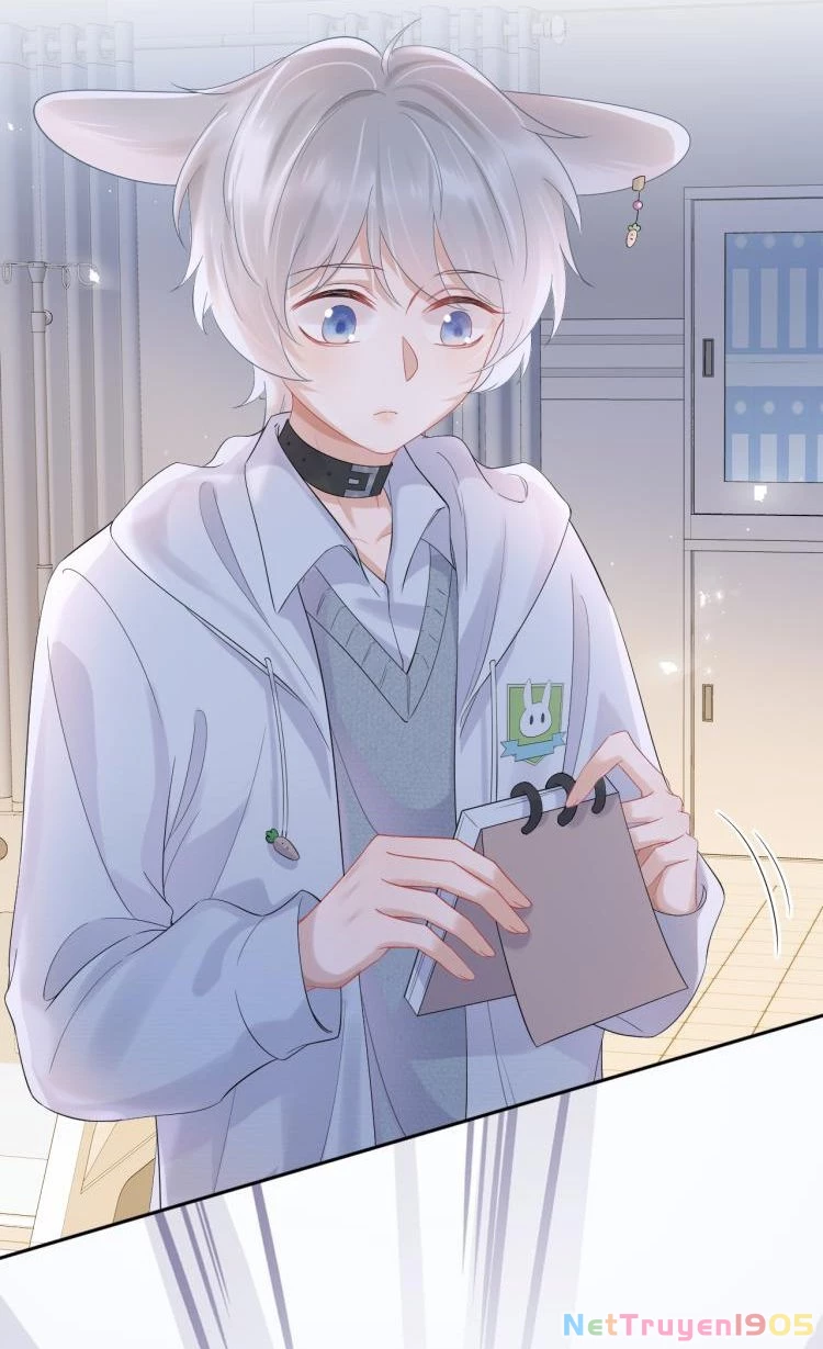 Một Ngụm Nuốt Trọn Thỏ Con Chapter 5 - 18