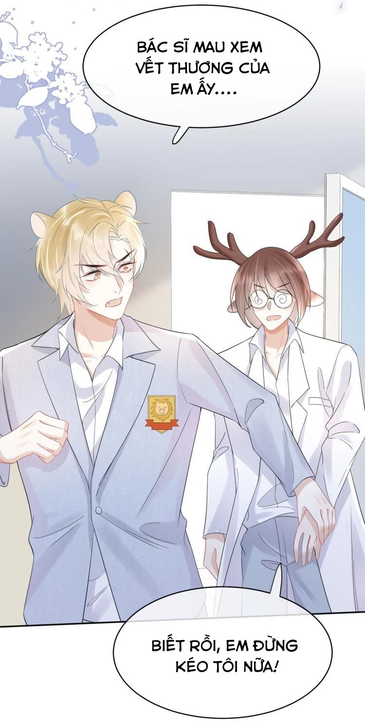 Một Ngụm Nuốt Trọn Thỏ Con Chapter 5 - 21