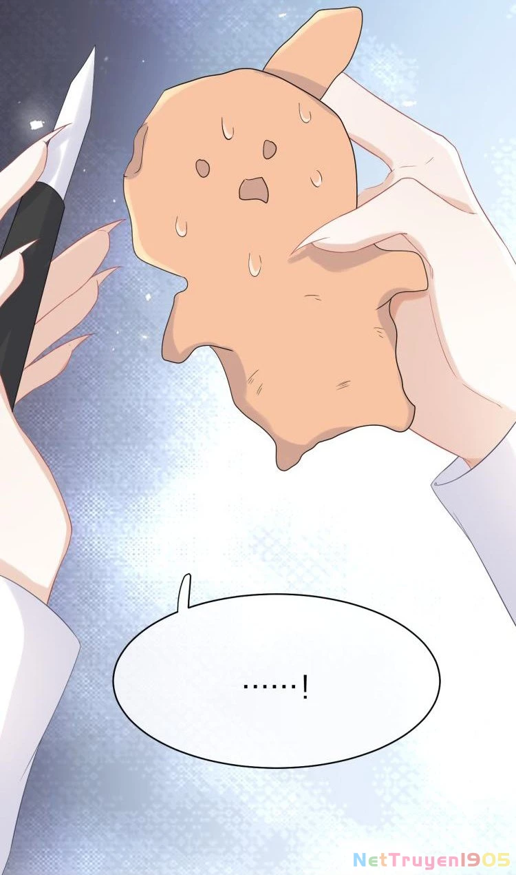 Một Ngụm Nuốt Trọn Thỏ Con Chapter 5 - 30