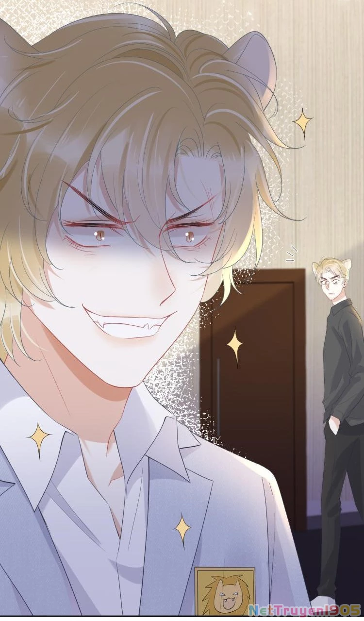 Một Ngụm Nuốt Trọn Thỏ Con Chapter 5 - 42