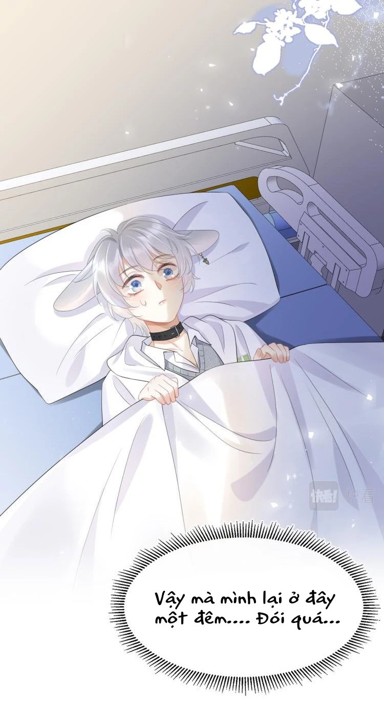 Một Ngụm Nuốt Trọn Thỏ Con Chapter 5 - 46