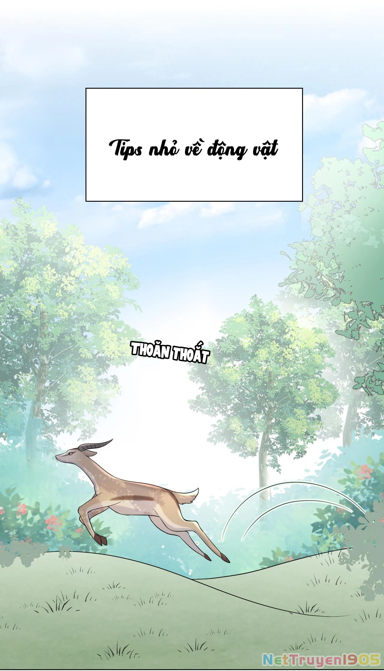 Một Ngụm Nuốt Trọn Thỏ Con Chapter 12 - 44