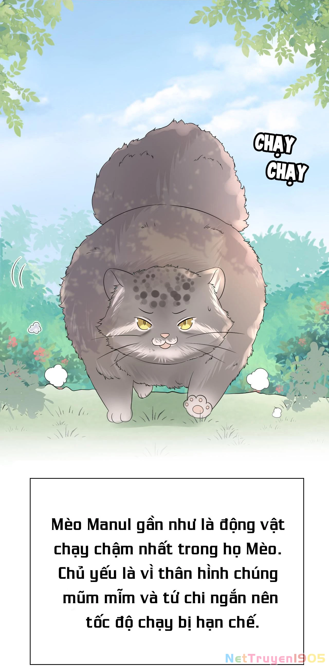 Một Ngụm Nuốt Trọn Thỏ Con Chapter 12 - 46