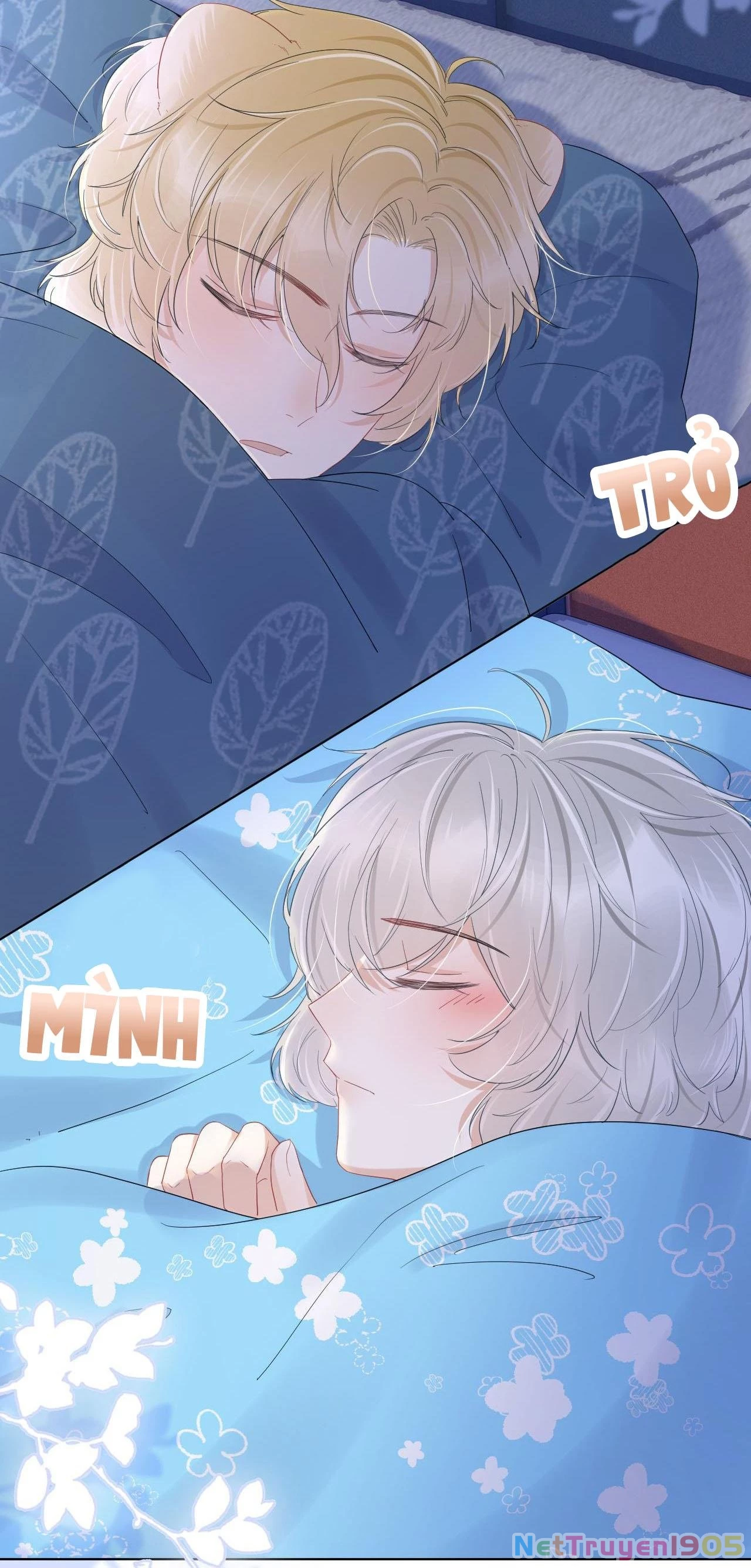 Một Ngụm Nuốt Trọn Thỏ Con Chapter 23 - 51