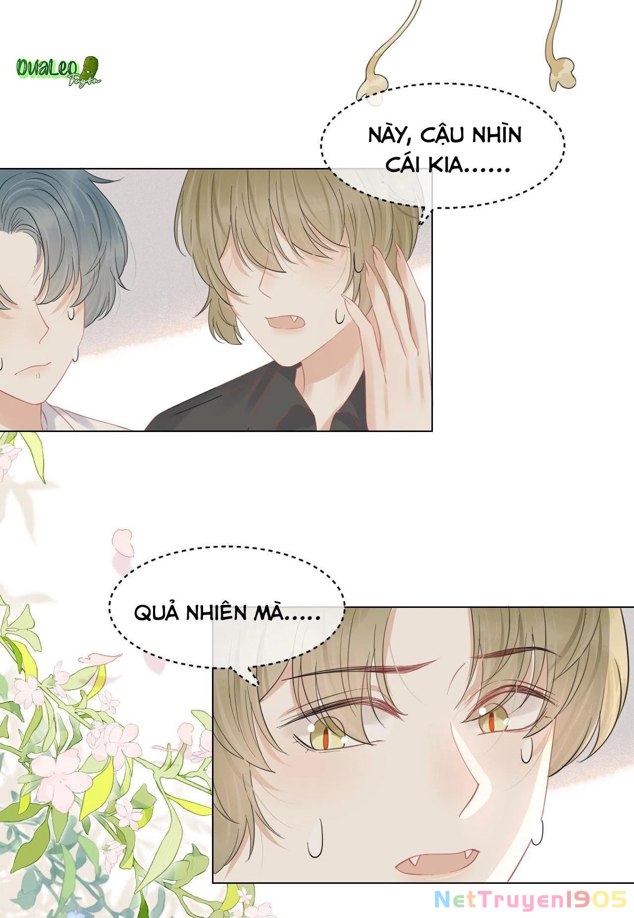 Một Ngụm Nuốt Trọn Thỏ Con Chapter 36 - 17