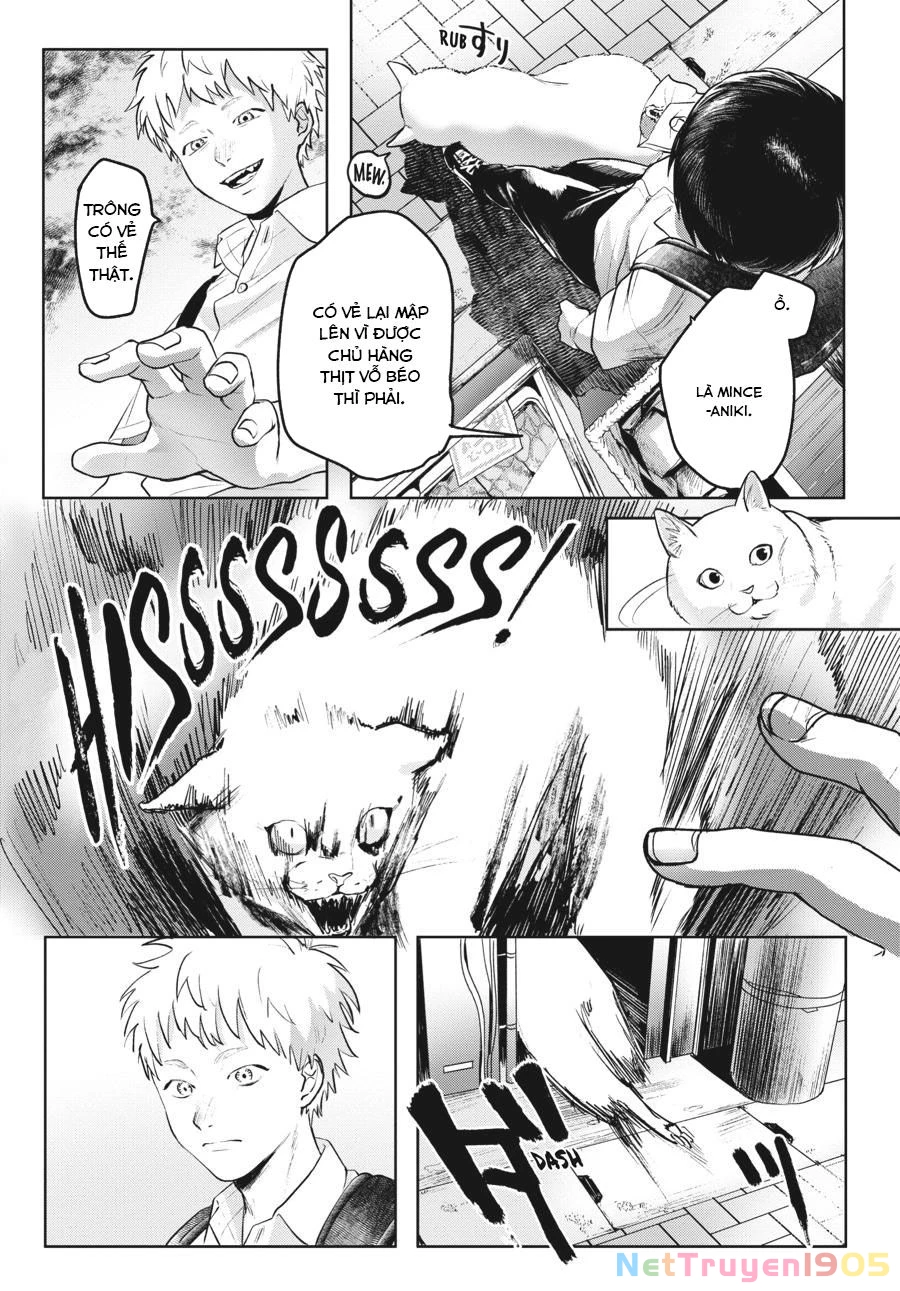 Mùa Hè Hikaru Chết Chapter 2 - 7