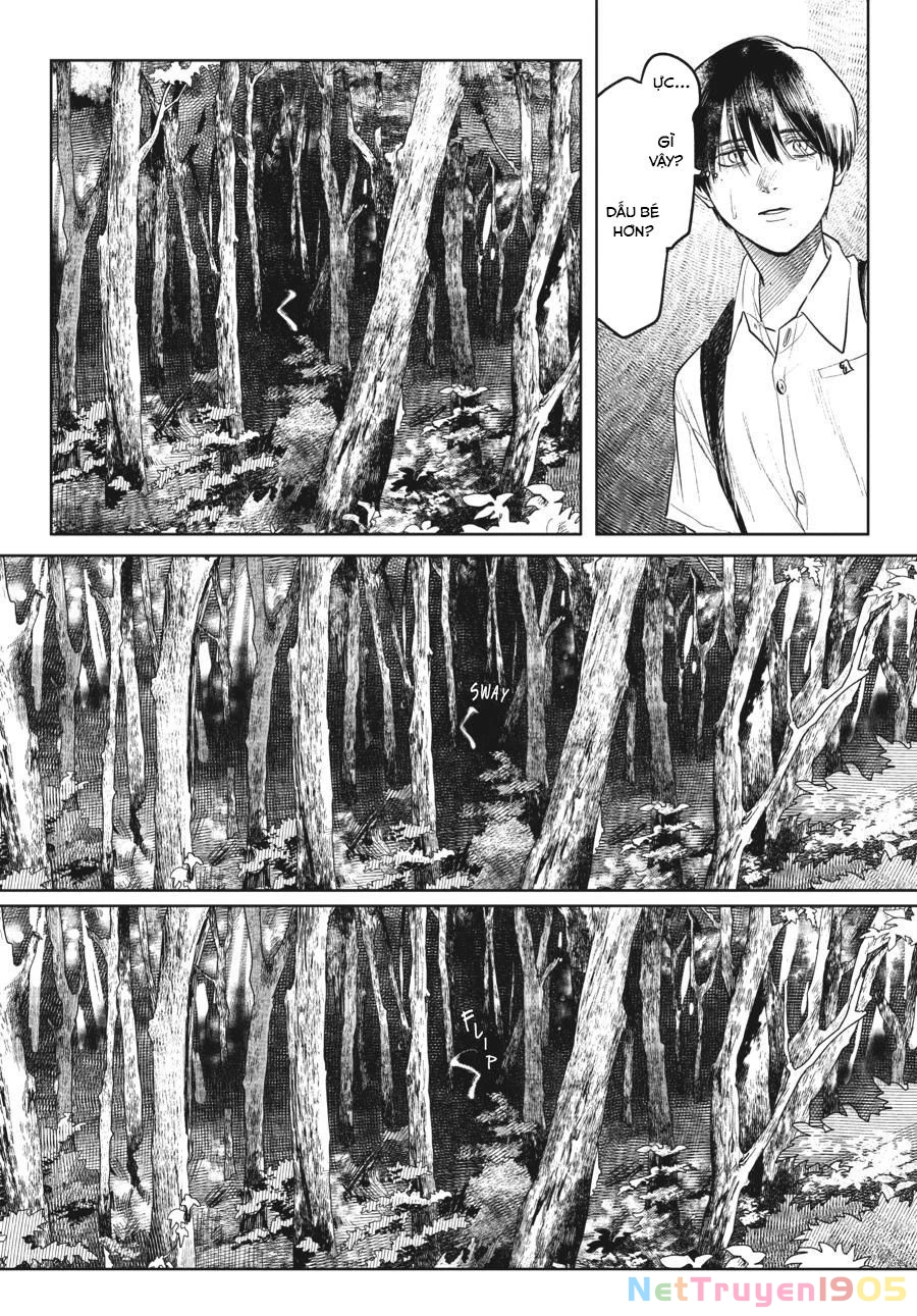 Mùa Hè Hikaru Chết Chapter 3 - 18