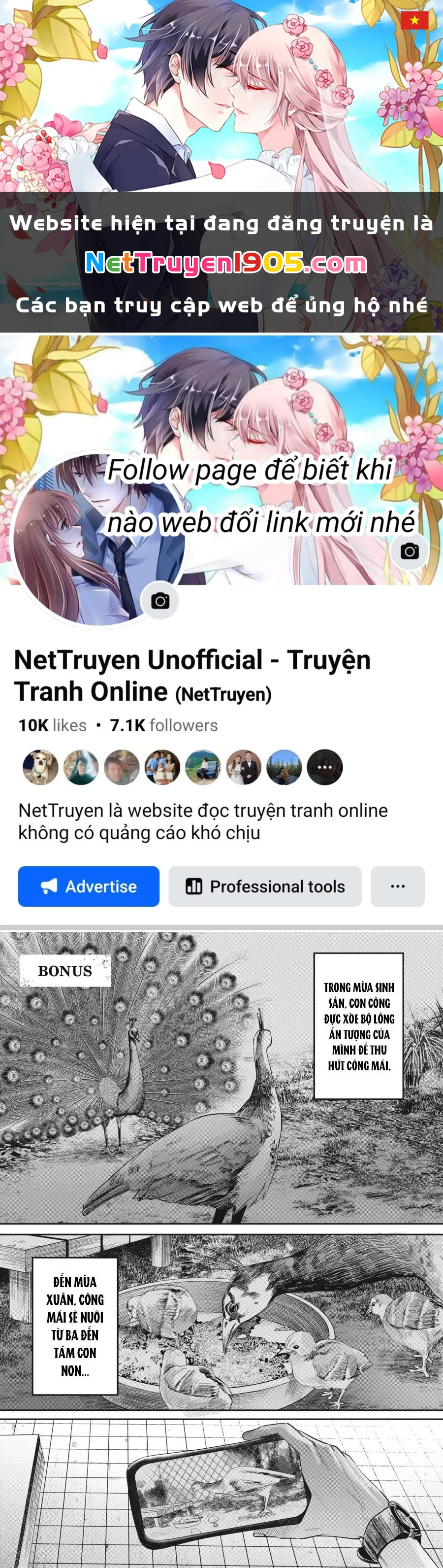 Mùa Hè Hikaru Chết Chapter 11.5 - 1