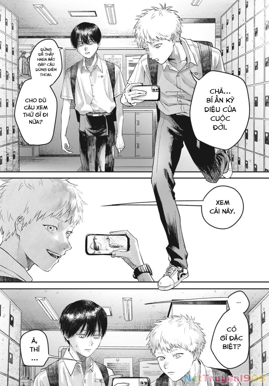 Mùa Hè Hikaru Chết Chapter 11.5 - 2