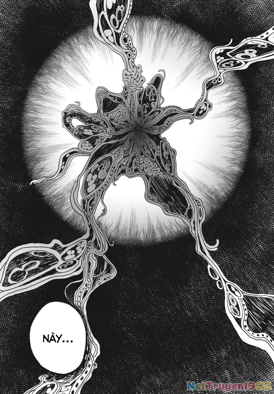 Mùa Hè Hikaru Chết Chapter 15 - 16
