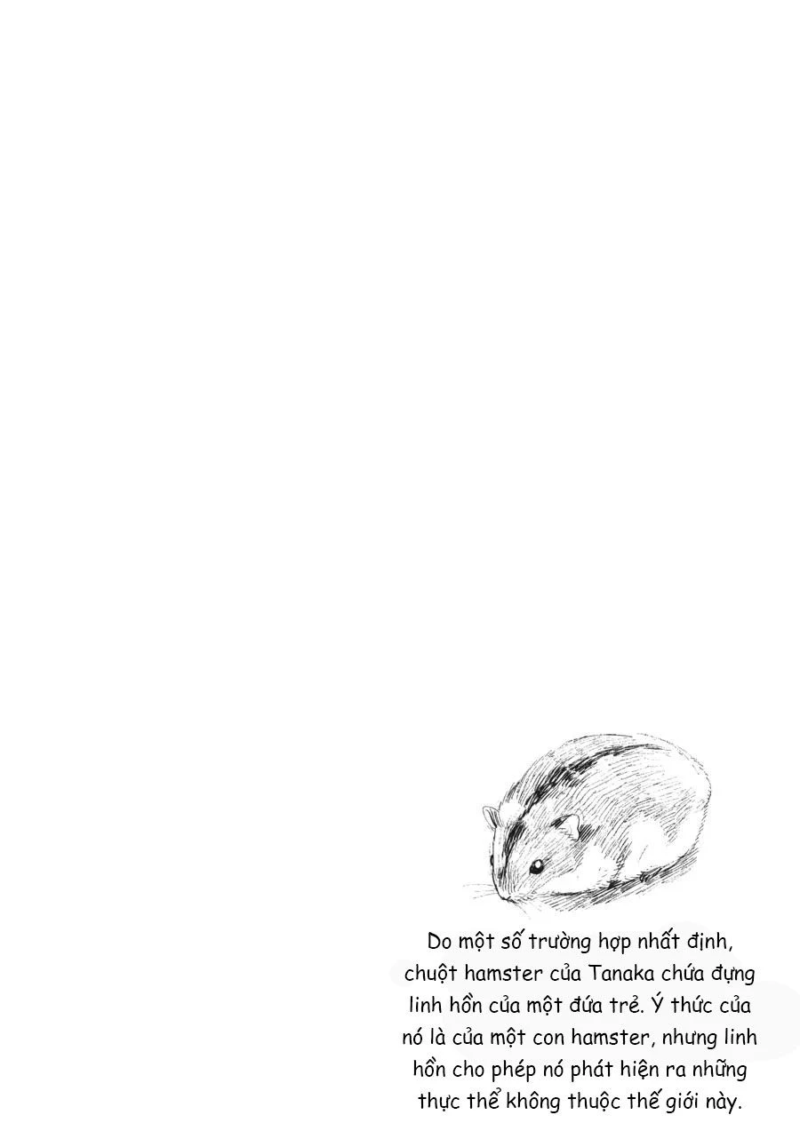 Mùa Hè Hikaru Chết Chapter 19 - 39