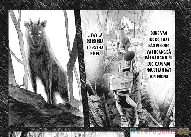 Mùa Hè Hikaru Chết Chapter 29 - 33