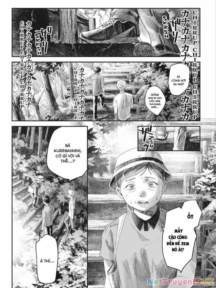 Mùa Hè Hikaru Chết Chapter 31 - 35