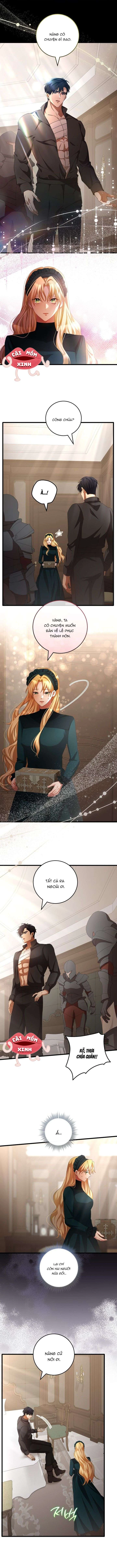 Lời Cầu Hôn Hoang Dã Chapter 13 - 8