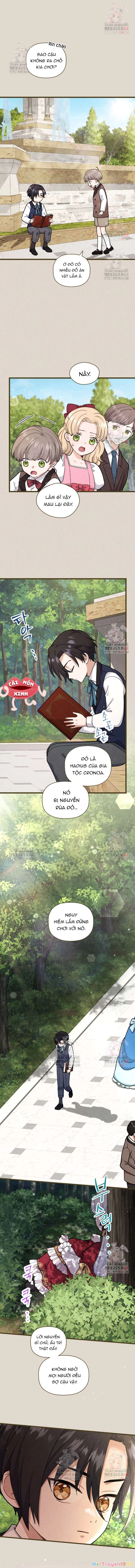 Bệ Hạ, Xin Hãy Quên Tôi Đi Chapter 24 - 2