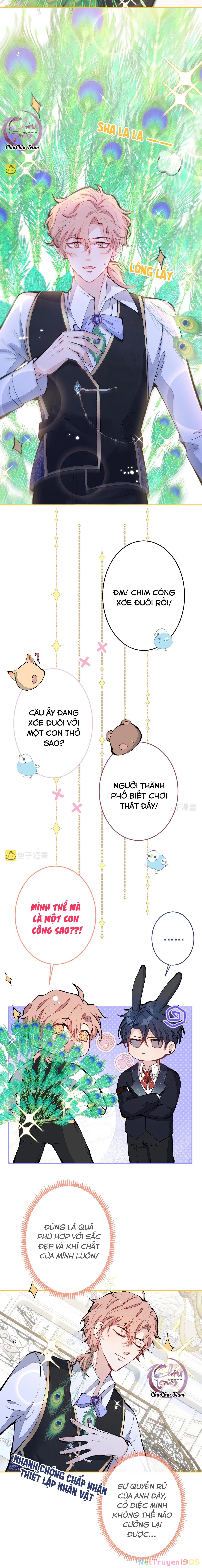 Hotsearch Của Ảnh Đế Chapter 161.2 - 2