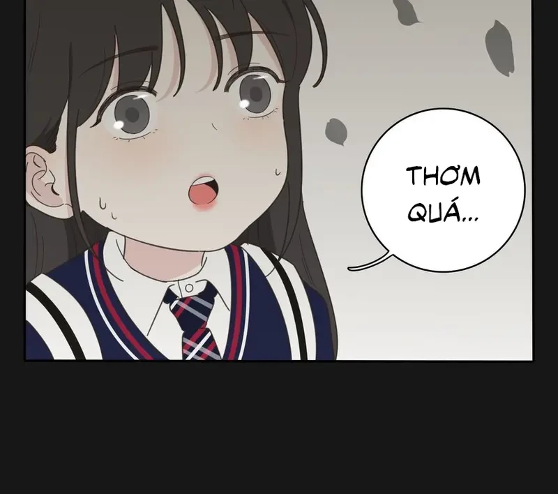 Dương Gian Bách Lý Cẩm Chapter 31 - 35