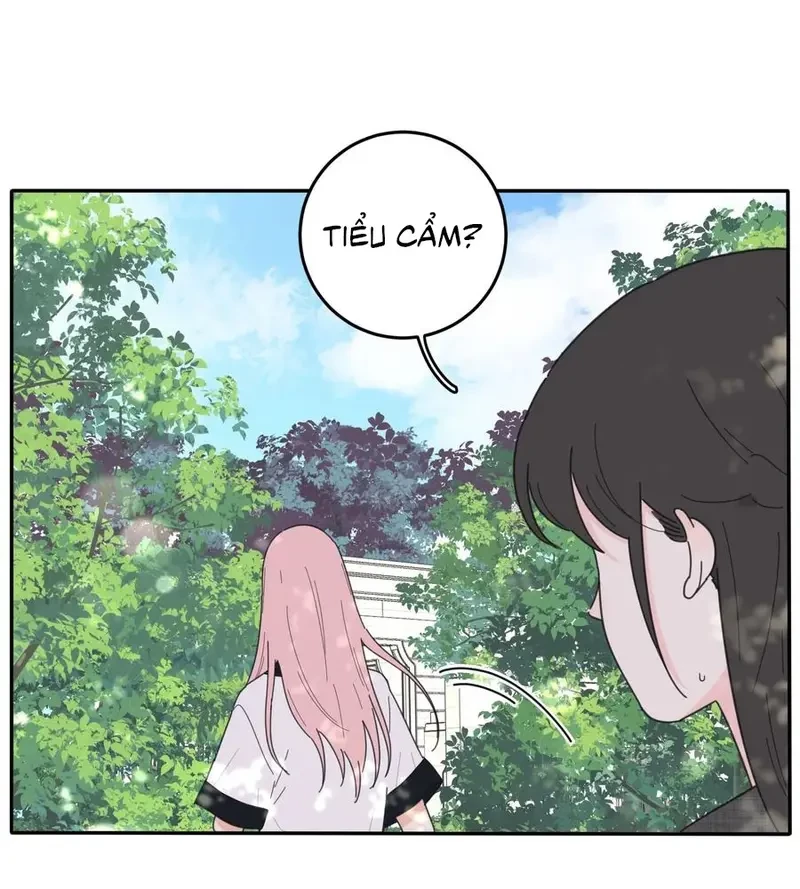 Dương Gian Bách Lý Cẩm Chapter 43 - 12