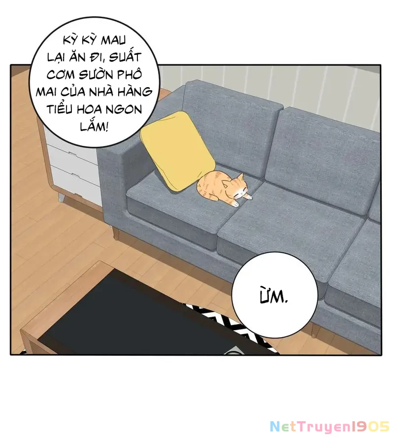 Dương Gian Bách Lý Cẩm Chapter 53 - 50