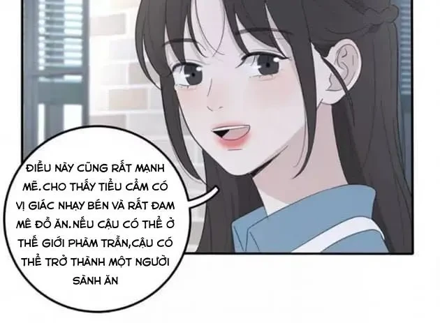 Dương Gian Bách Lý Cẩm Chapter 75 - 20