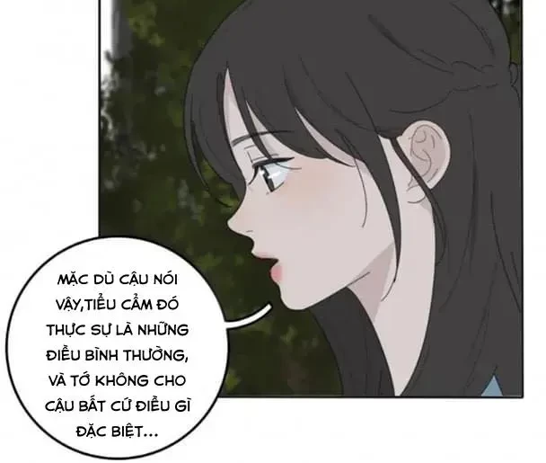 Dương Gian Bách Lý Cẩm Chapter 78 - 10