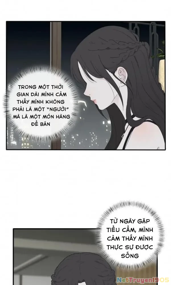 Dương Gian Bách Lý Cẩm Chapter 83 - 41