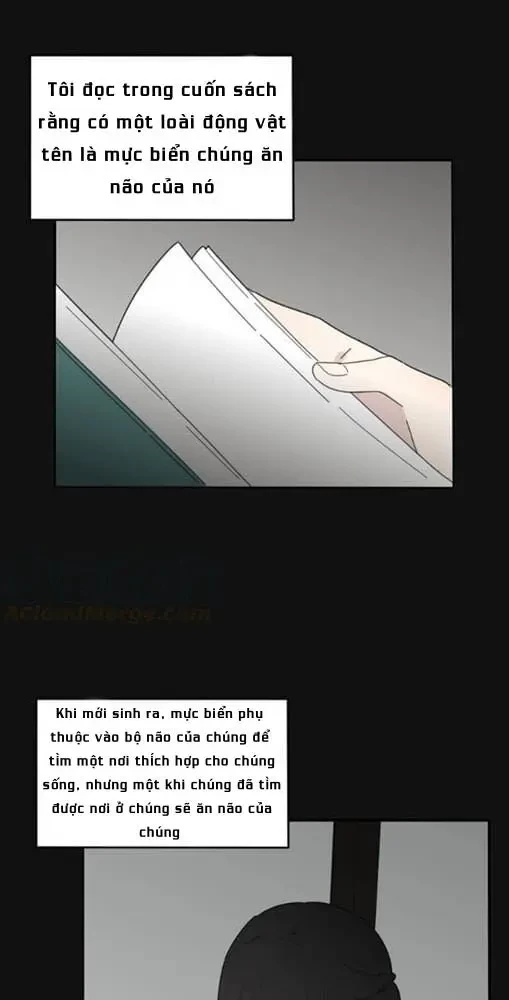 Dương Gian Bách Lý Cẩm Chapter 84 - 41