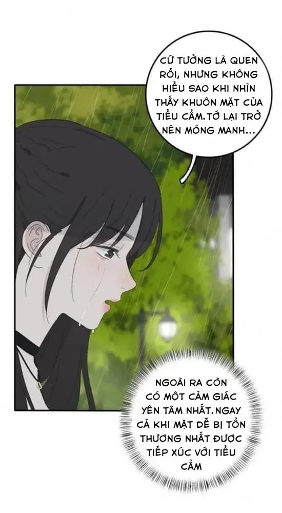 Dương Gian Bách Lý Cẩm Chapter 85 - 38