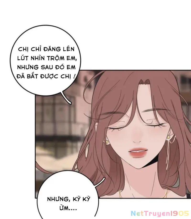 Dương Gian Bách Lý Cẩm Chapter 97 - 21