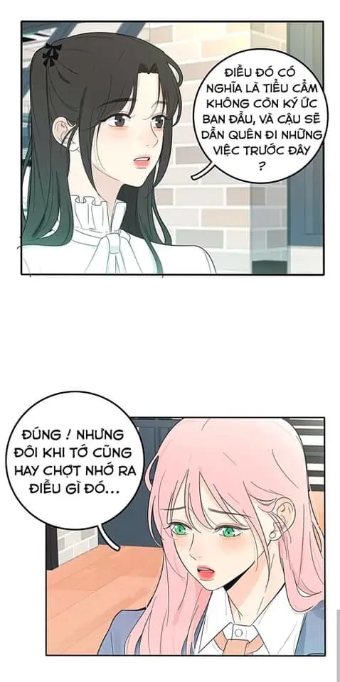 Dương Gian Bách Lý Cẩm Chapter 111 - 6