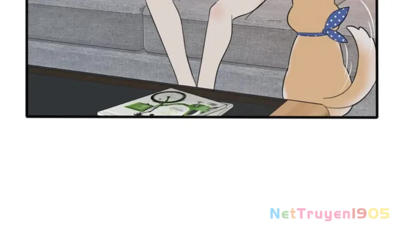 Dương Gian Bách Lý Cẩm Chapter 119 - 42