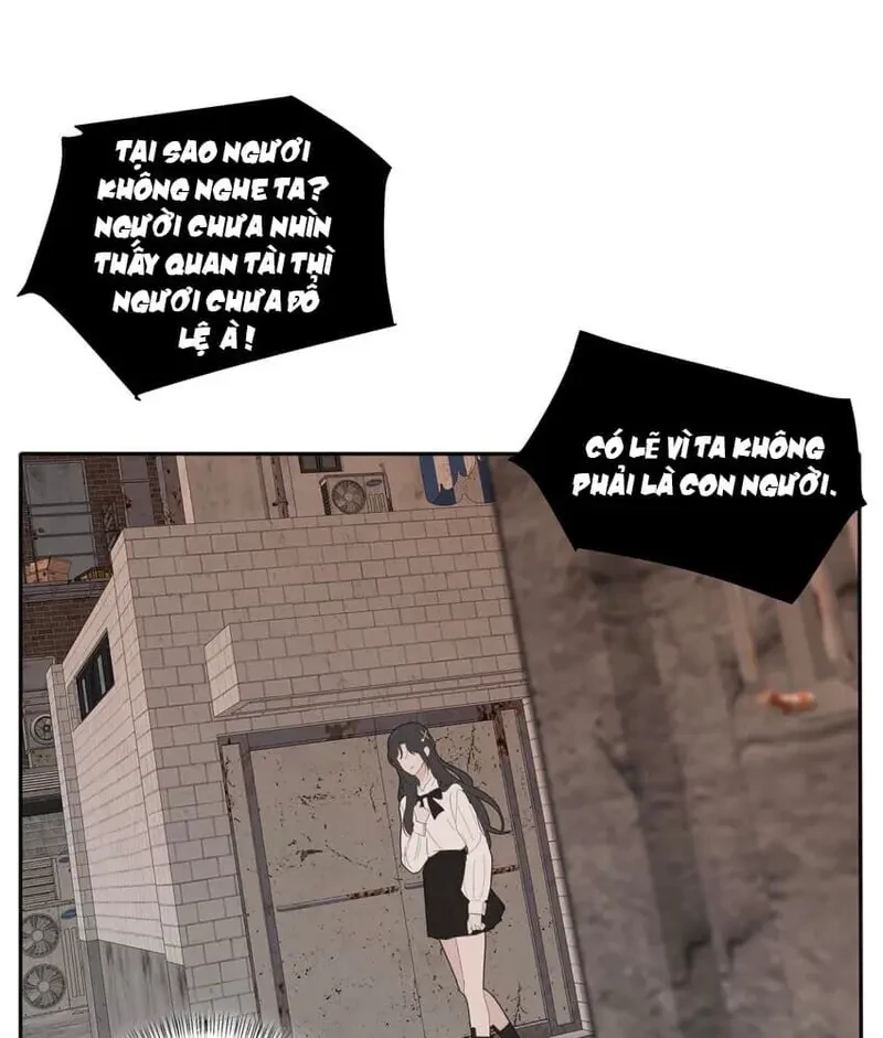 Dương Gian Bách Lý Cẩm Chapter 131 - 37