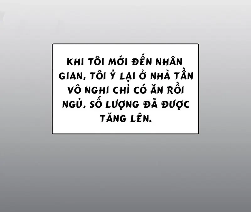 Dương Gian Bách Lý Cẩm Chapter 144 - 27