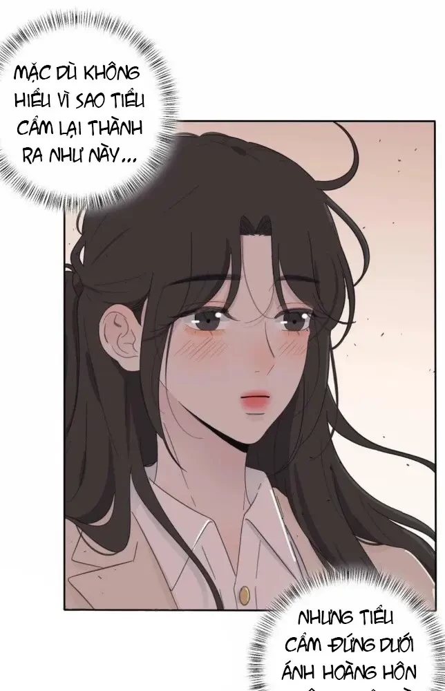 Dương Gian Bách Lý Cẩm Chapter 146 - 9