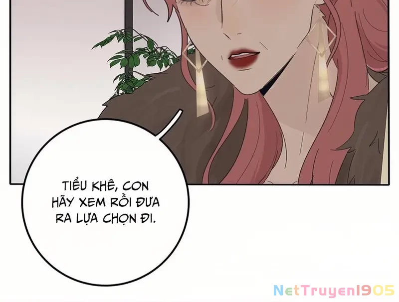 Dương Gian Bách Lý Cẩm Chapter 156 - 51
