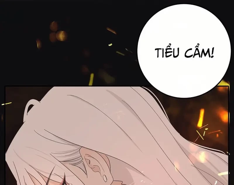 Dương Gian Bách Lý Cẩm Chapter 161 - 22