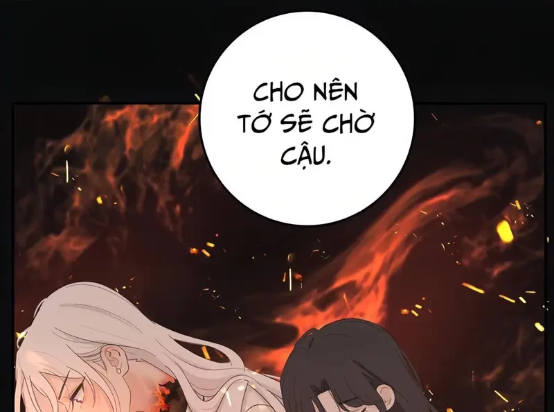 Dương Gian Bách Lý Cẩm Chapter 161 - 26
