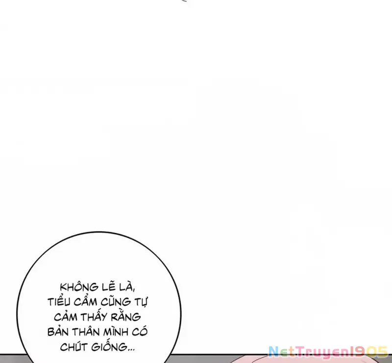 Dương Gian Bách Lý Cẩm Chapter 178 - 50