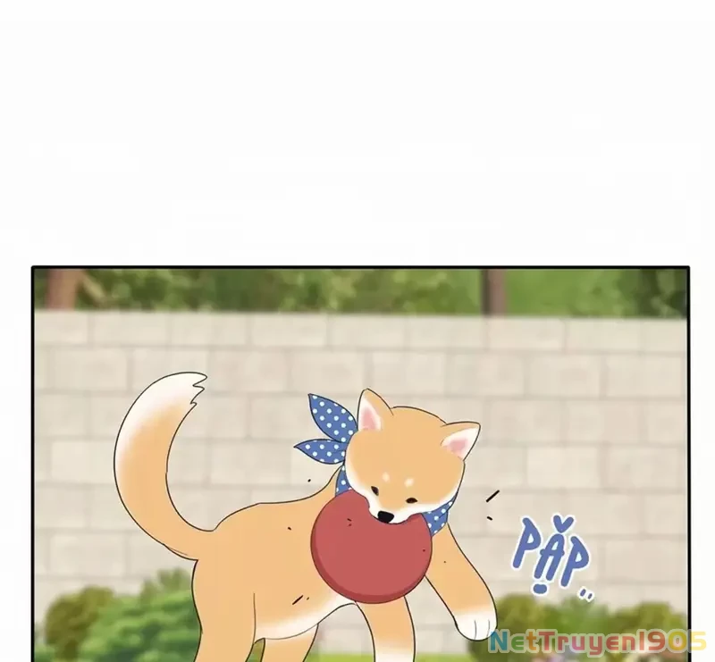 Dương Gian Bách Lý Cẩm Chapter 185 - 51
