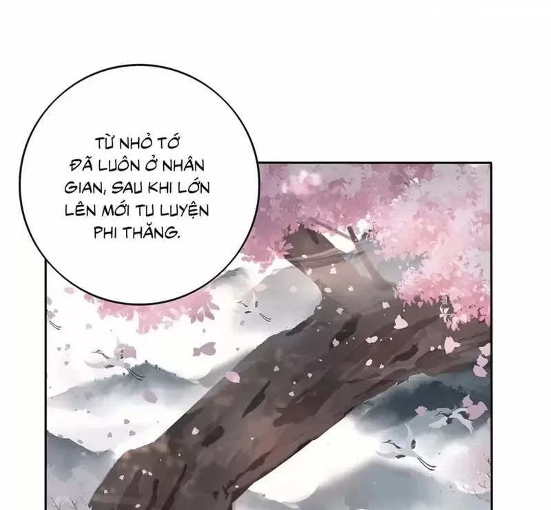 Dương Gian Bách Lý Cẩm Chapter 193 - 22