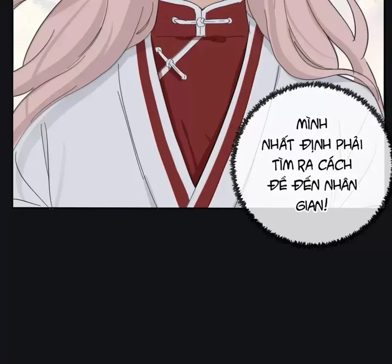 Dương Gian Bách Lý Cẩm Chapter 199 - 36