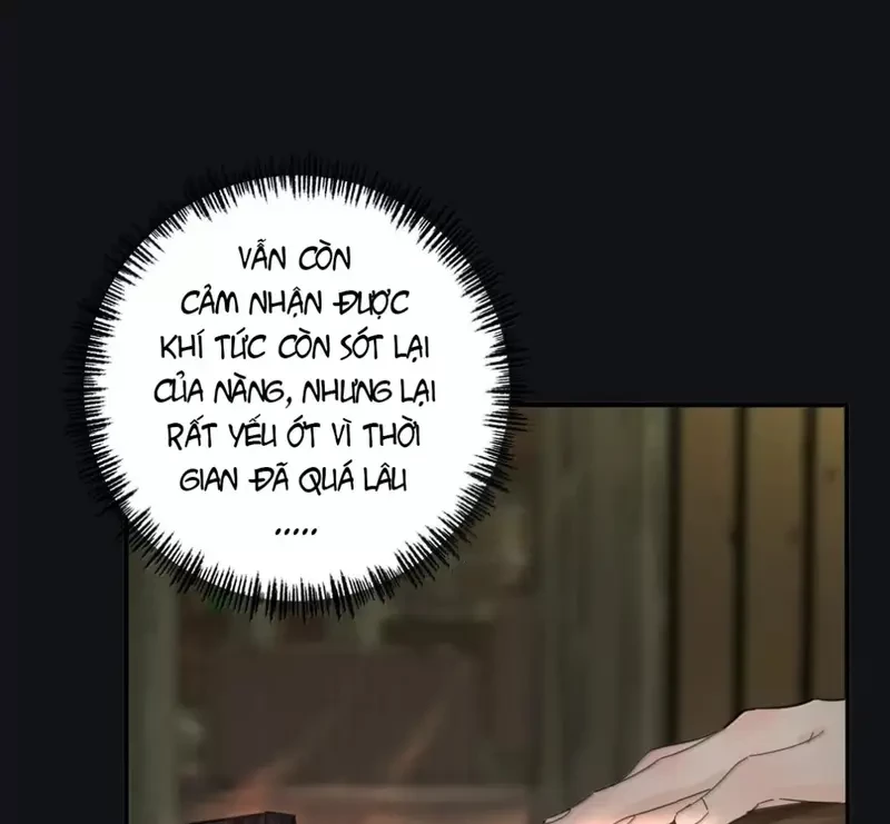 Dương Gian Bách Lý Cẩm Chapter 200 - 39