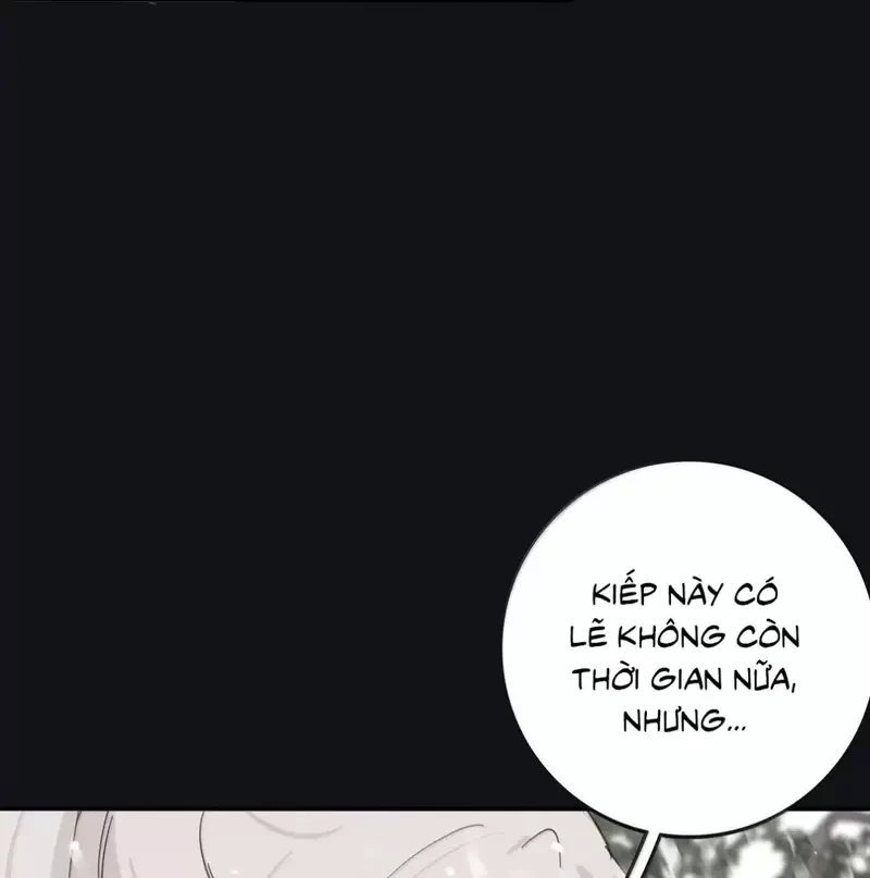 Dương Gian Bách Lý Cẩm Chapter 200 - 114
