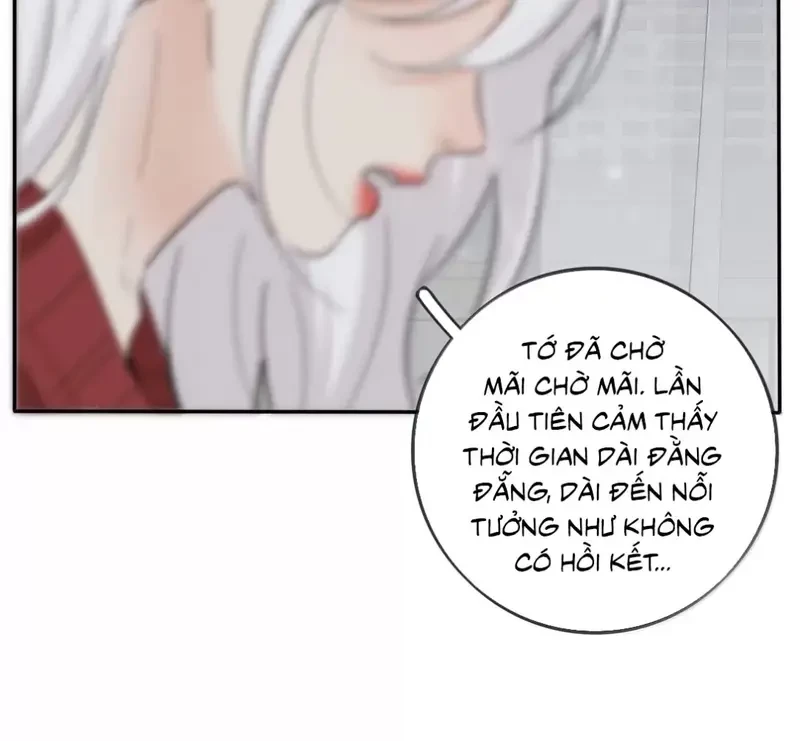 Dương Gian Bách Lý Cẩm Chapter 201 - 46